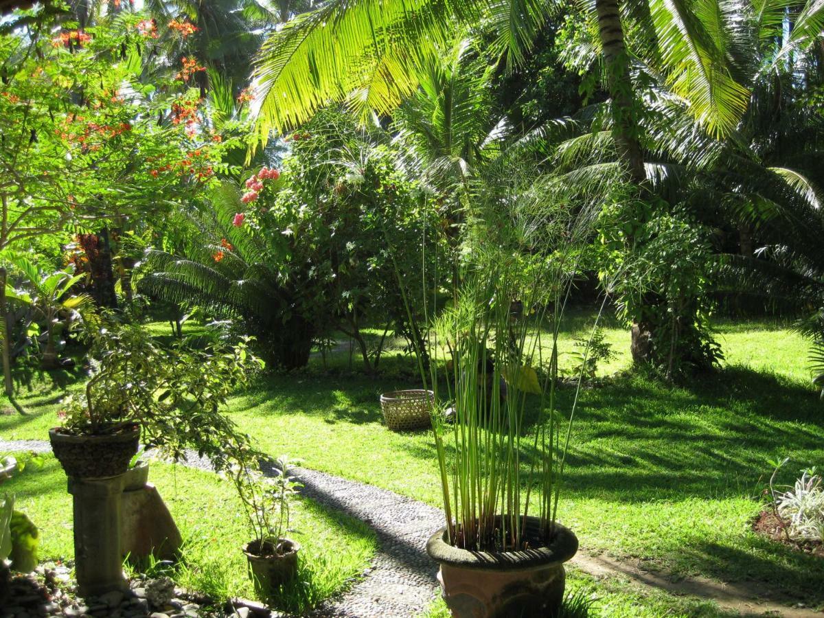 Bali Sandat Tejakula Luaran gambar